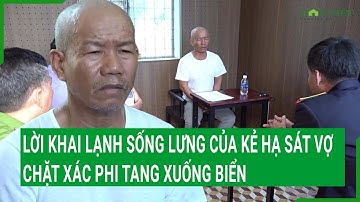 Lời khai lạnh sống lưng của kẻ hạ sát vợ, chặt xác phi tang xuống biển