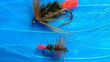 Tying a Red Tag Wet & Dry with Davie McPhail.
