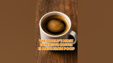 The World’s Most Expensive Coffee Is Made From Poop