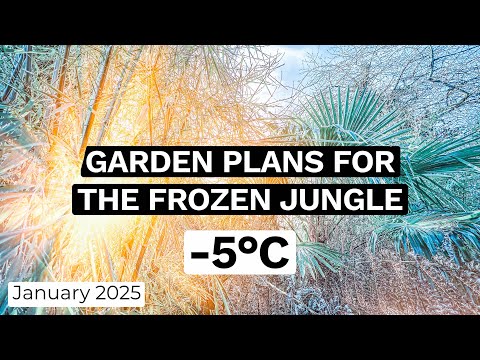 Jungle Garden Winter Freeze Tour 2025 Projects 