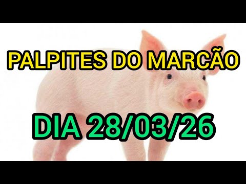 PALPITES DO MARCÃO DIA 28/03/26 (DIA TODO)@canaldomarcao1969 