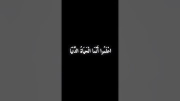 سورة الحديد الآية 19 - محمد اللحيدان .