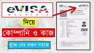ই-ভিসা দিয়ে আপনার কোম্পানি ও কাজ খুঁজে বের করুন সহজে। Calling visa Update 2023।  Kibria Rony