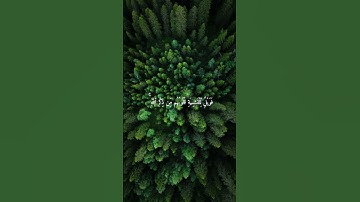 تلاوة خاشعة تلامس القلوب | ياسر الدوسري { أَفَمَن شَرَحَ اللَّهُ صَدْرَهُ لِلإِسْلَامِ }  سورة الزمر