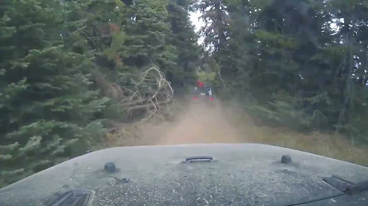 Bethel Ridge 4x4 trail | Washington Backcountry Discovery Route | Overland Route