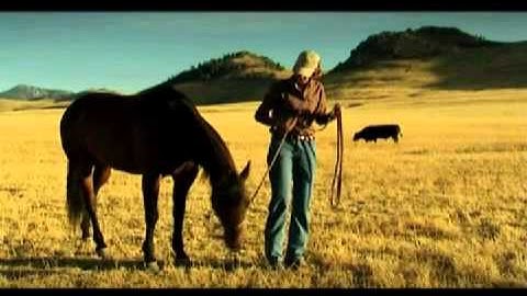 Fundamentals of Horsemanship -- Pressure and Release