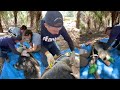 Top 10 Victories for Animals in 2022 | #10: An orphan of fire returns to the wild
