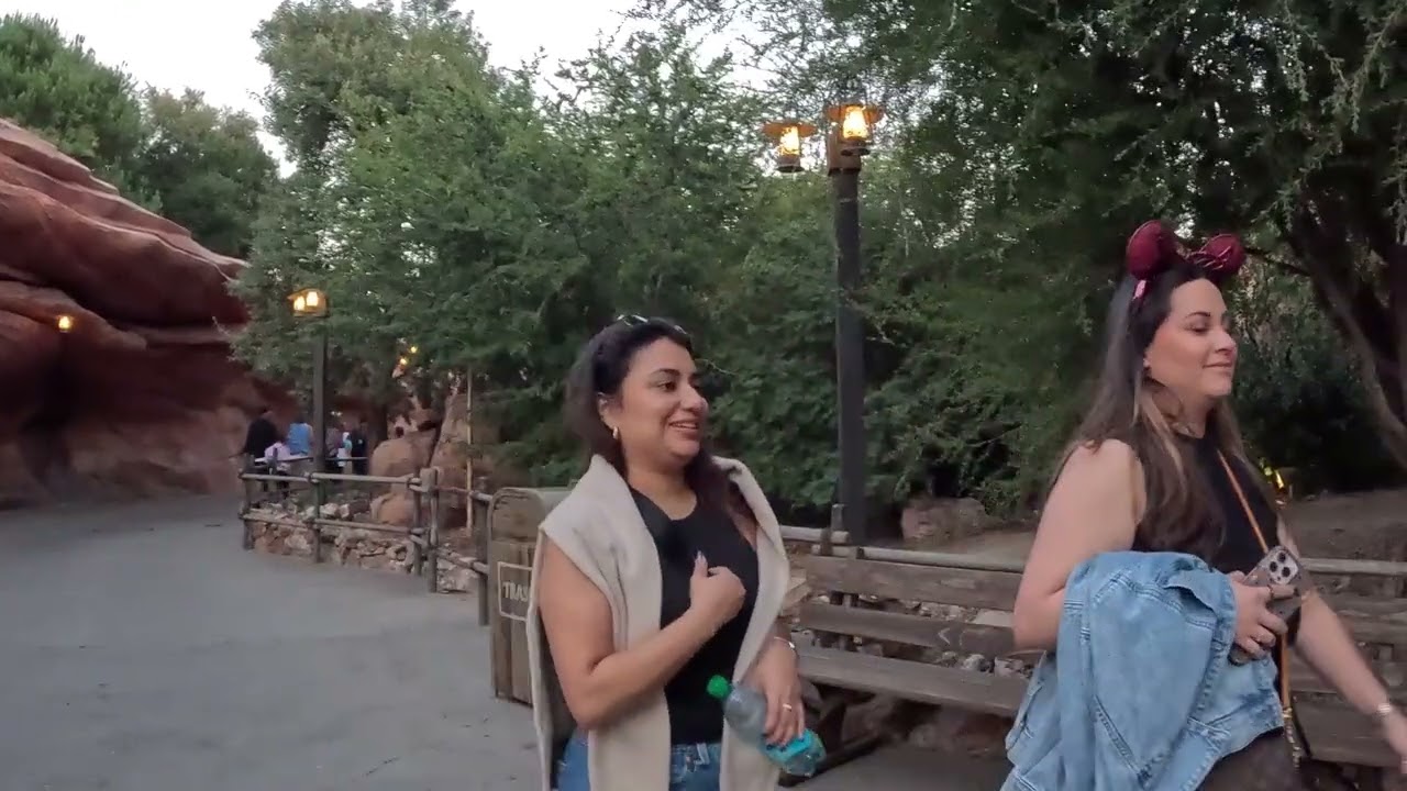 Disneyland Millennials walk