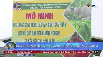 Ứng dụng công nghệ cao sản xuất rau, củ, quả đạt tiêu chuẩn VietGAP