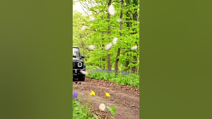 G-wagon entry #travel #nature #shorts #mito