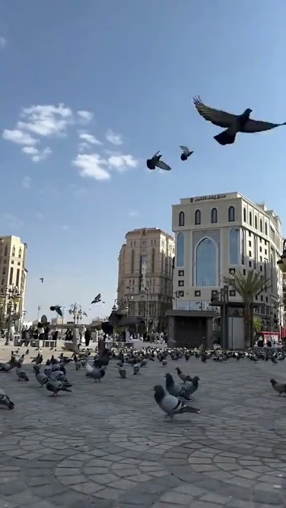 Kisi sa q kru fryad kawish