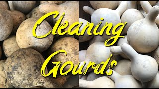 How I clean Gourds to prepare them for crafts