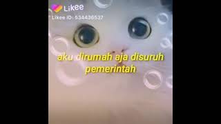 kupikir aku di rumah aja di suruh pemerintah