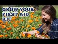 Must Have Herbs for Your FIRST-AID KIT