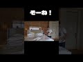 【HIKAKIN】ベットの中には…【SEIKIN】【HikakinTV】