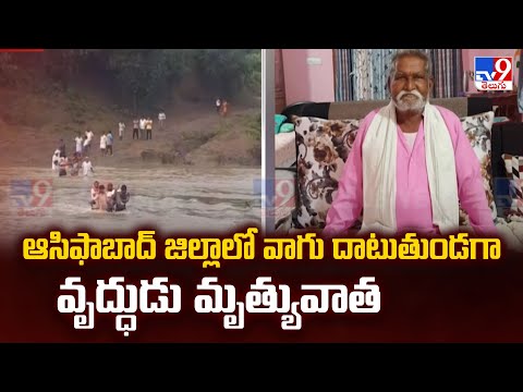 ఆసిఫాబాద్ జిల్లాలో వాగు దాటుతుండగా వృద్ధుడు మృ*త్యువాత - TV9 - TV9