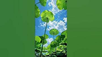 تلاوة #تلاوة_هادئة @اطمئن_الله_معك1