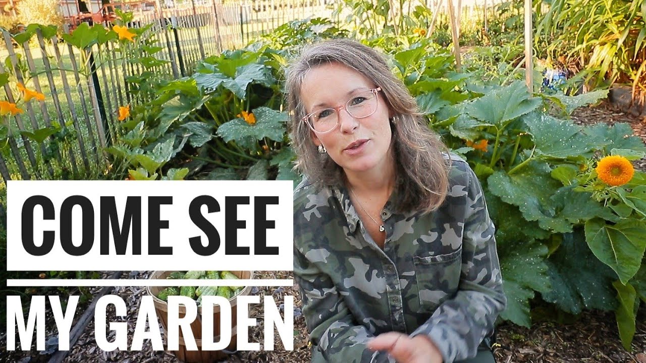My Complete Garden Update Organic No Till Raised Bed Ruth
