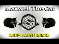 Maxwell the cat theme samstring remix
