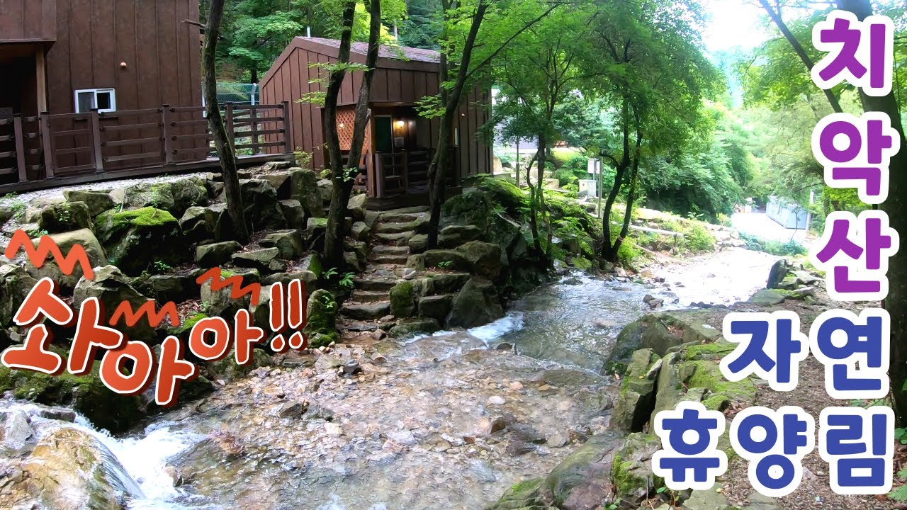 시원한 계곡이 있는 치악산자연휴양림 ver. 202307ㅣ(강원 원주)자연휴양림 4K ep.20