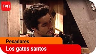 Los gatos santos | Pecadores - T1E52