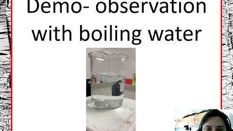 Convection currents lab demo