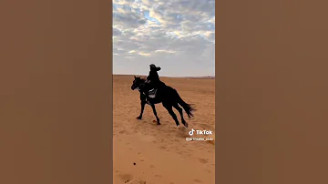 سأنادي سأنادي ما بين الناس Shortsvideo Shorts 