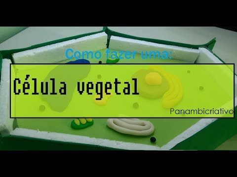 Vídeo: Como você faz uma célula de planta com massa de brinquedo?