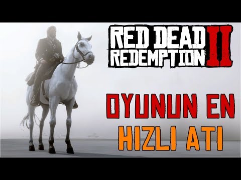 Çok Nadir Beyaz Arap Atı Nerede Bulunur ? (Red Dead Redemption 2)