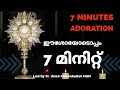   7  minutes adoration fr jince cheenkallel hgn