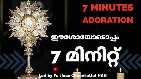 Divine Mercy Adoration 7 Minutes Adoration Fr. Jince Cheenkallel HGN
