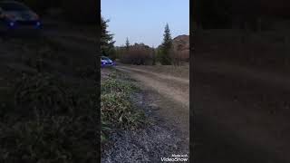 Aslanlar Gi̇bi̇ Gi̇bi̇