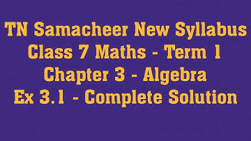 TN Samacheer New Syllabus Class 7 Maths - Term 1 - Chapter 3 - Algebra - Ex 3.1 - Complete Solution