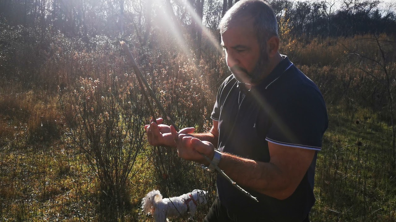 Les pouvoirs des baguettes de sourcier : Découvrez comment trouver une source d'eau cachée