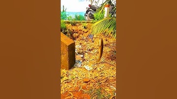 câu cá lóc bằng nhái thật #lurefishing #lure #câulure