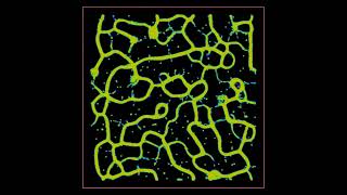 Grid Particle Systems   Physarum Slime Mold  In houdini  #VFX #opentowork  #houdinifx