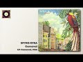 Spyro gyra  carnaval 1980