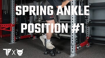 Spring Ankle Torque Position #1