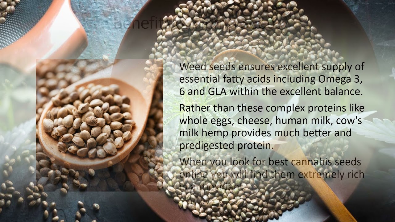 Buy Hemp Seeds Online