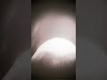 زواج الغالي حاتم العبدالله حالات واتساب زواج النورين ستوريات زواج الامام علي ع وفاطمة الزهراء ع 