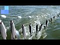 Great automatic fishing line catches big fish || Fisherman's job takes another level