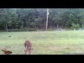WGI 0170