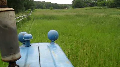 South Pasture