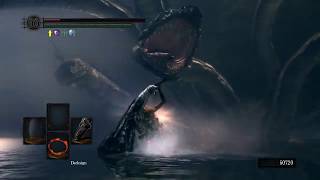 Dark Souls: Desynced TAS Hydra Strats