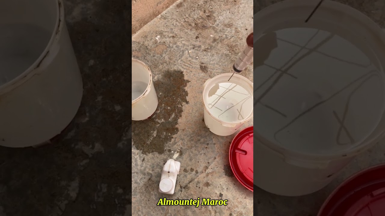 طريقة استعمال مضاد السموم  بيتنيفرول betanephrol للدجاج 🔥🐔