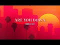 Dubdogz X Selva Are You Down Lyric Video
