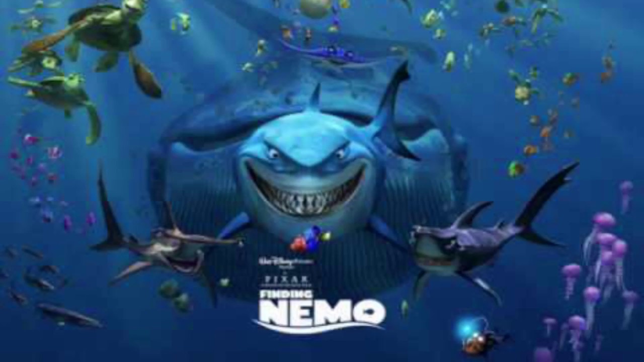 The Divers Finding Nemo YouTube