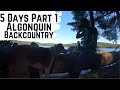 5 Day Solo Portage with Dog Part 1 | Algonquin Park | Rock Lake to Clydegale | Cooking | Fishing |