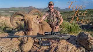 Texas Test Drive Hunting Aoudad With Hornadys 7Mm Prc