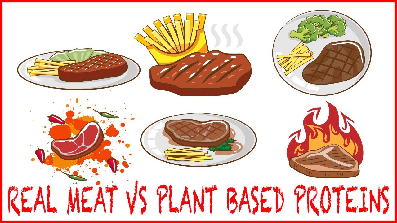 Real meat vs Plant based proteins vs Synthetic meat